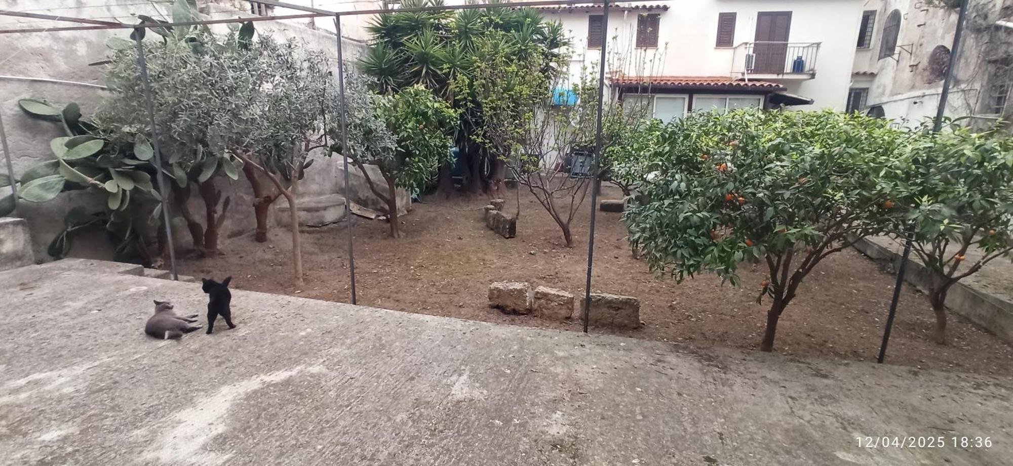 Jujube Hortus 4 Appartement *