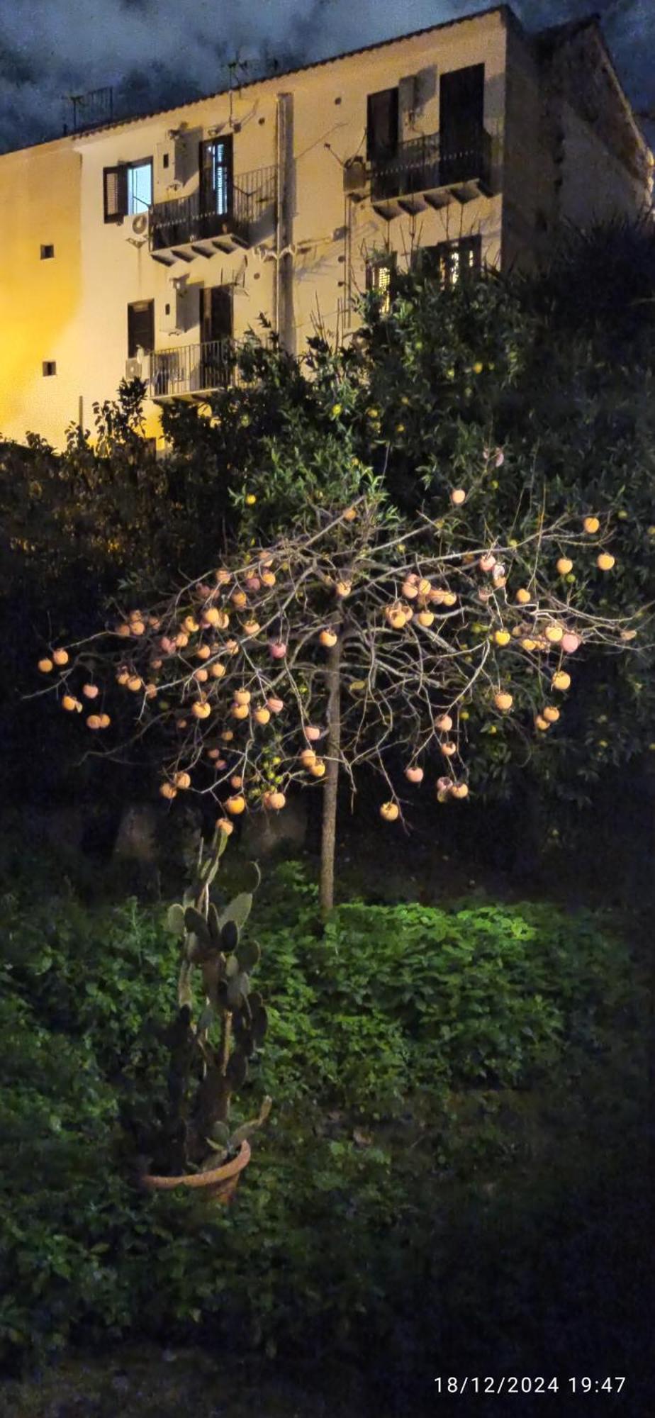 Jujube Hortus 4 * Palerme
