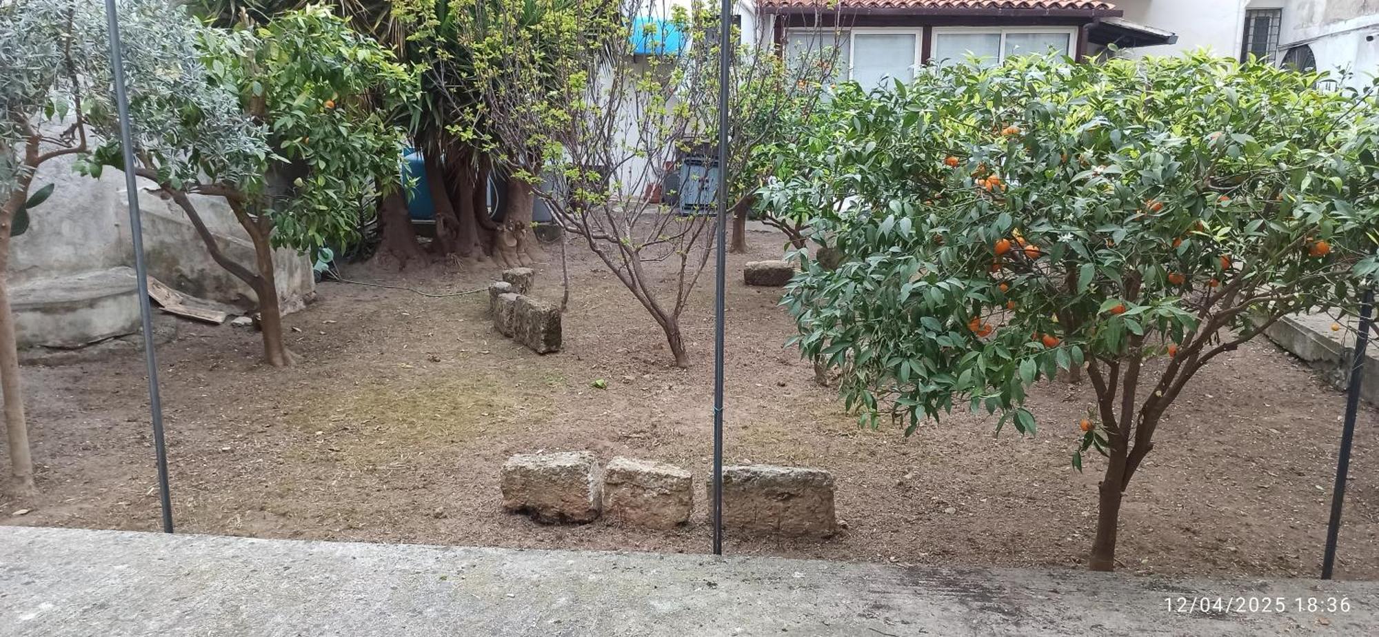 Jujube Hortus 4 Palerme