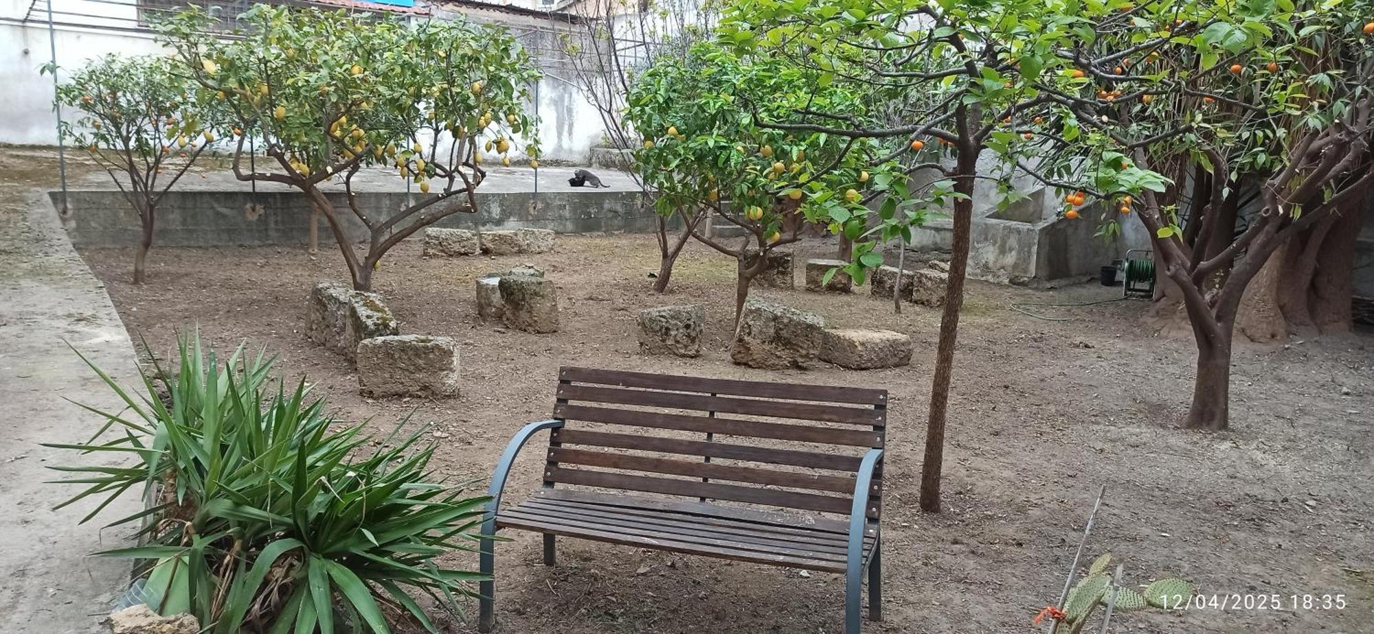 Appartement Jujube Hortus 4